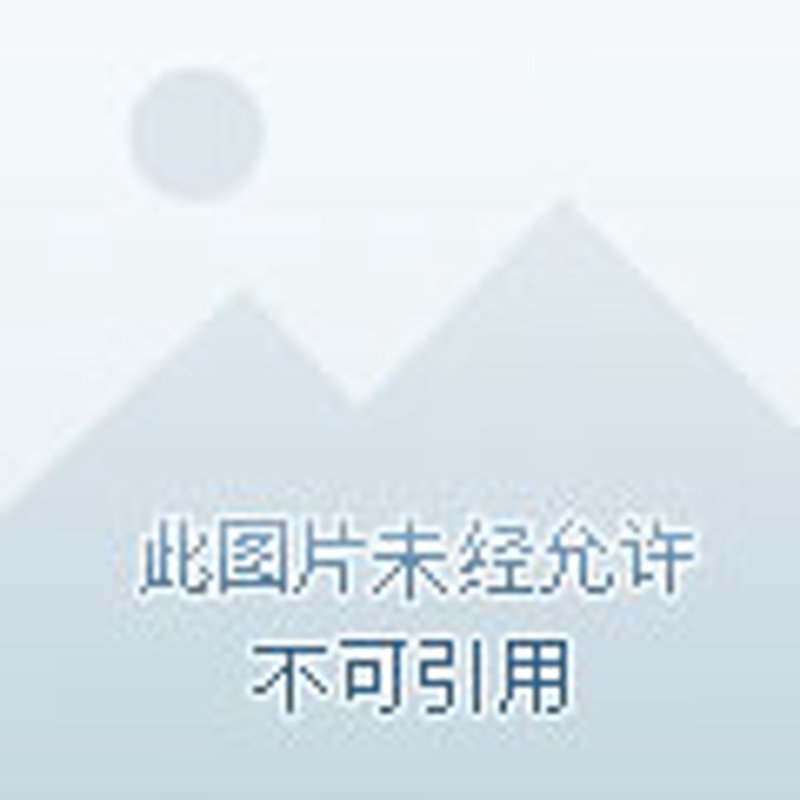 宝宝辅食添加新趋势：五谷杂粮助力健康成长